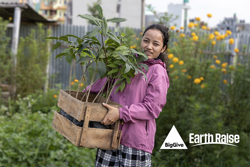 Lily’s-Leaves-Nursery-5-overlay Sapling nurseries