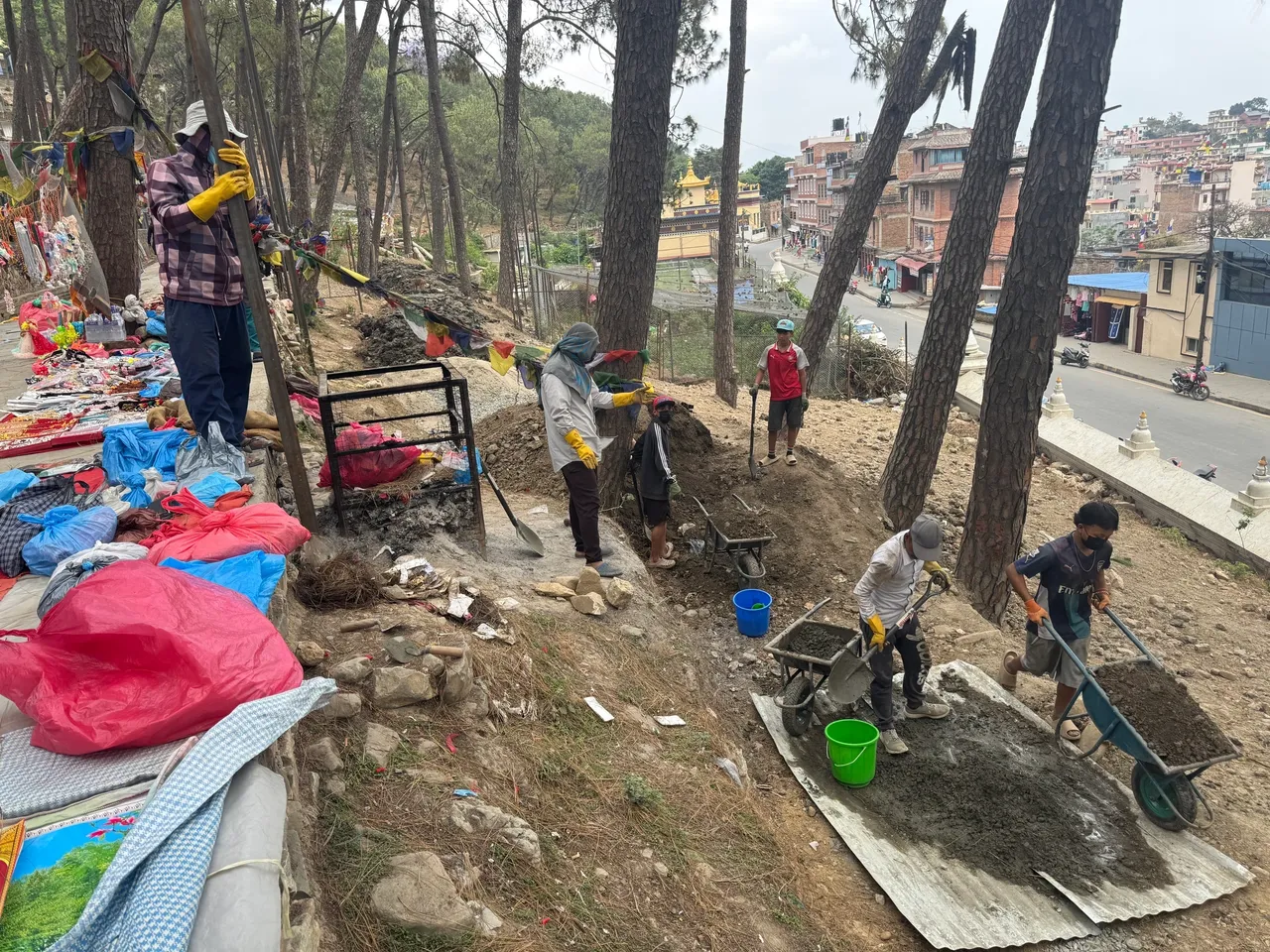 A hive of activity - the hills may appear wooded already, they're just the wrong trees....