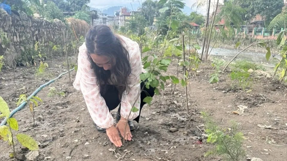 Lily Katuwal KC, Founder of social enterprise Lily's Leaves, planting saplings in Kathmandu