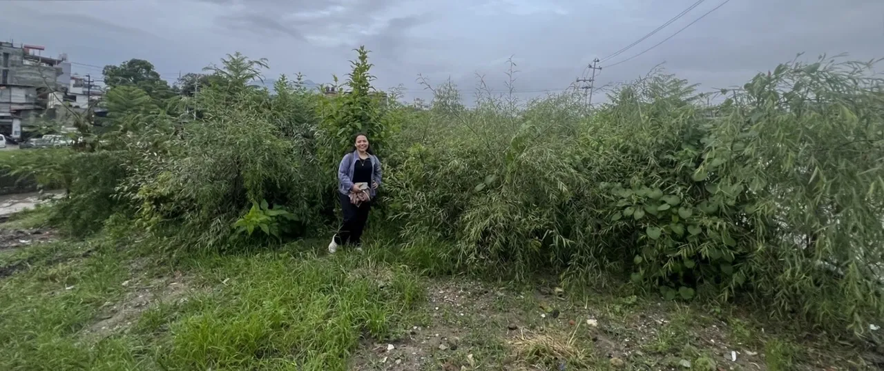Lily with her first urban forest – one year old, planted on waste ground