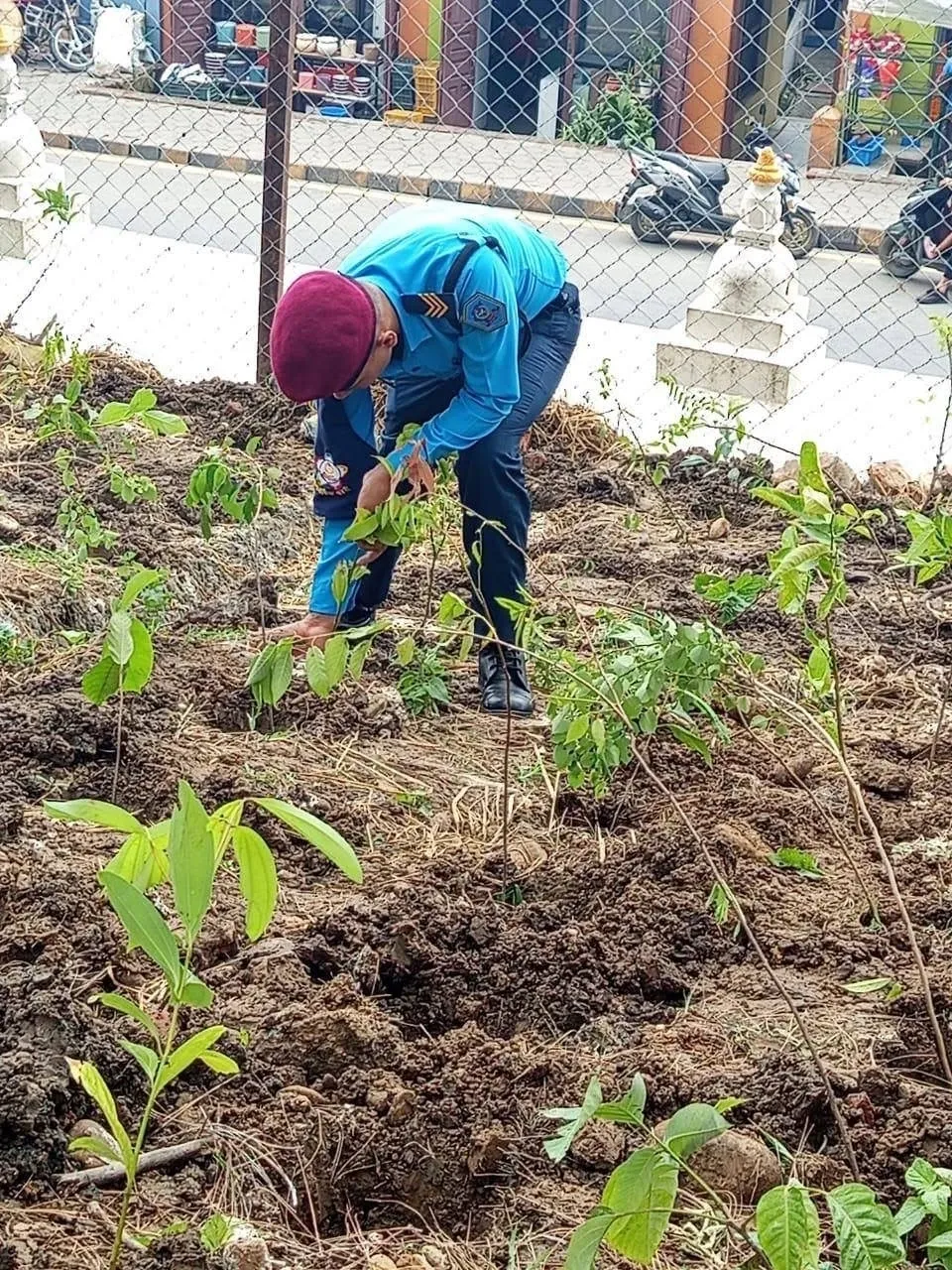 Miyawaki forest being planted2