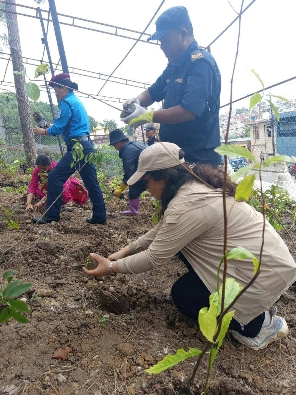 Miyawaki forest being planted3