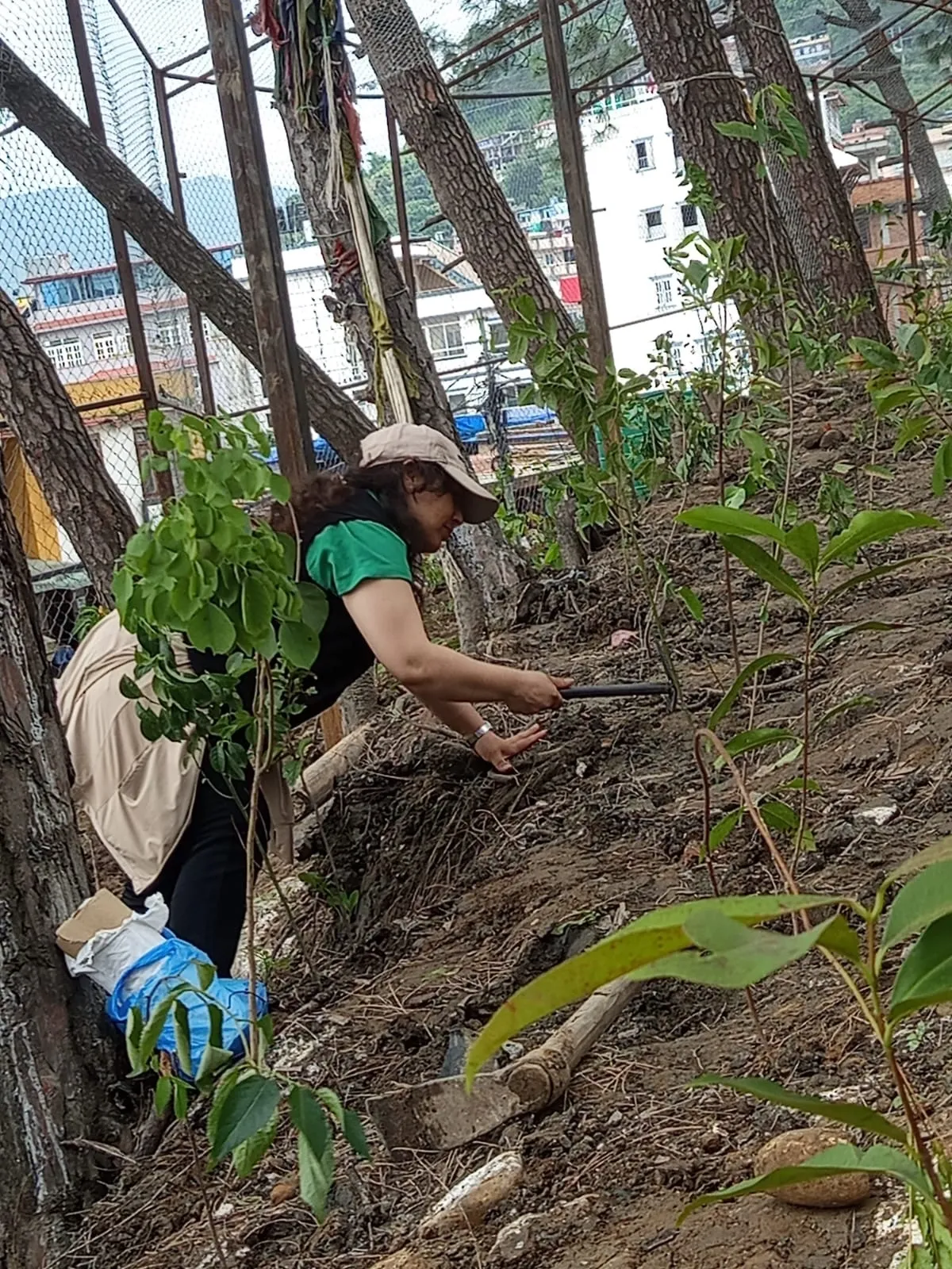 Miyawaki forest being planted6