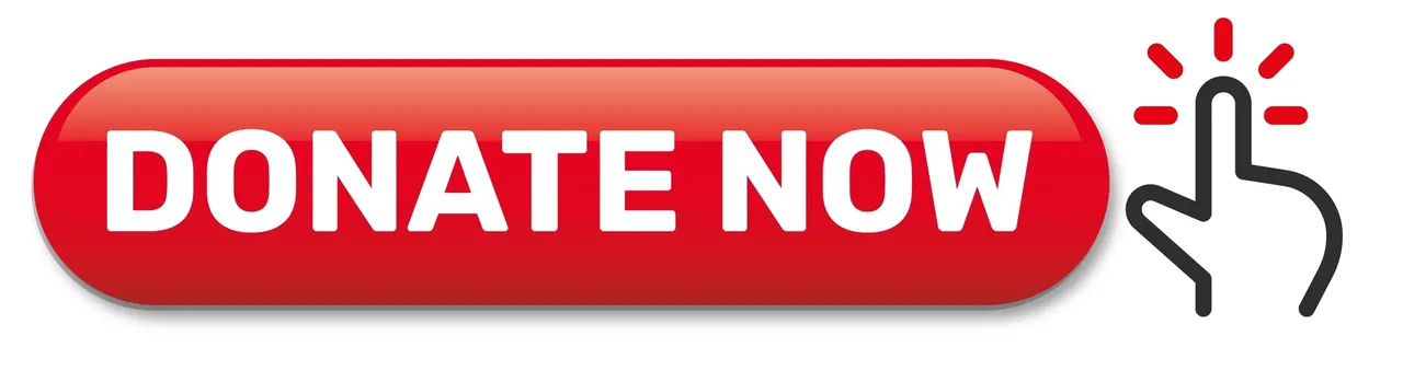 donate_now