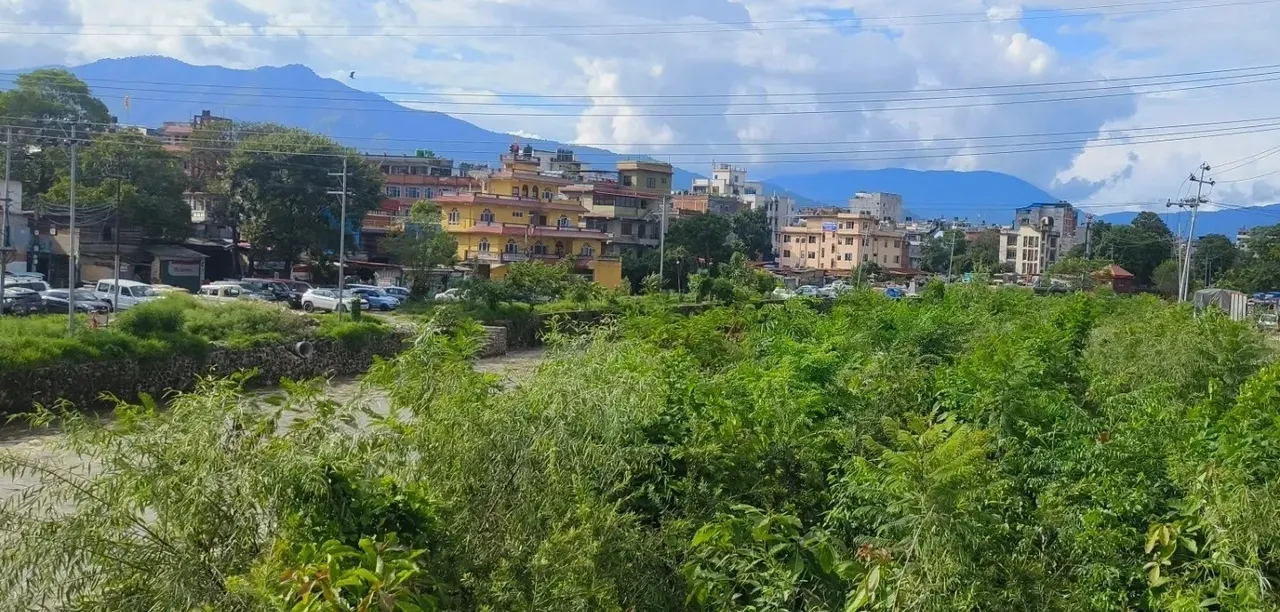 A picture postcard view of Kathmandu - Lily's first Miyawaki forest is in the foreground
