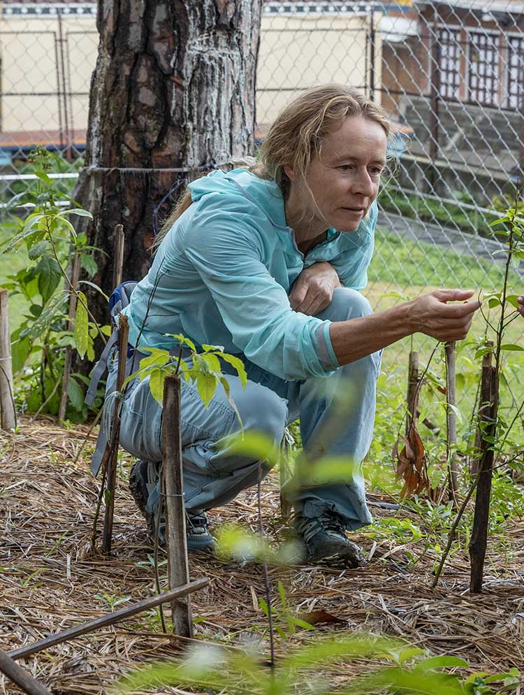 Clare-Brown Clare Brown